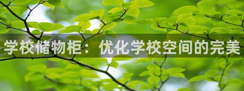 富联娱乐官方网站首页登录：学校储物柜：优化学校空间的完美