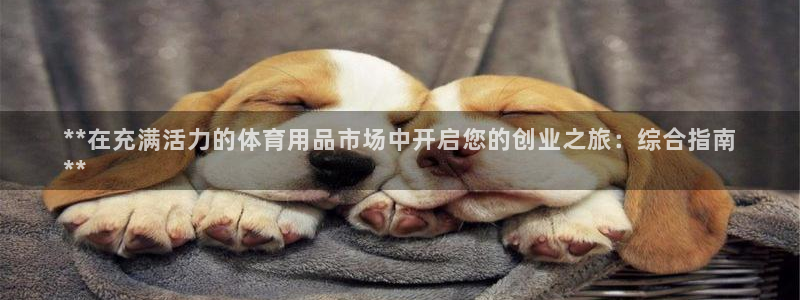 富联娱乐在线注册链接是什么意思：**在充满活力的体育用品市场
