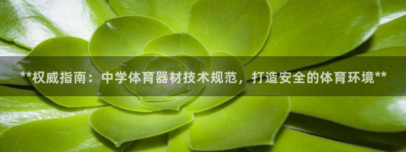 富联娱乐会员怎么取消：**权威指南：中学体育器材技术规范，打