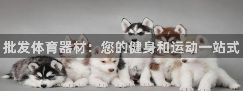 富联平台万 3.7.OO.7.3.5：批发体育器材：