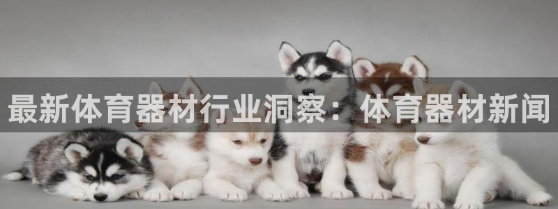 股票富联申购今天多少钱：最新体育器材行业洞察：体育器