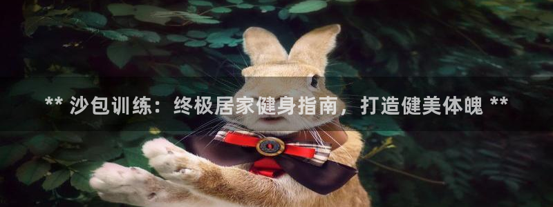 富联平台案7O777：** 沙包训练：终极居家健身指