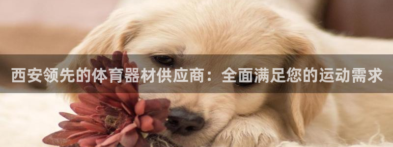 富联平台用户登陆：西安领先的体育器材供应商：全面满足