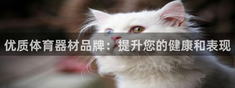 富联申购哪天上市交易：优质体育器材品牌：提升您的健康