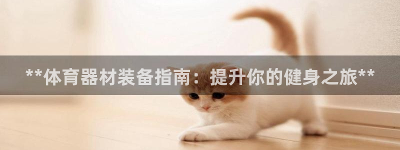 富联平台登录网址是多少：**体育器材装备指南：提升你