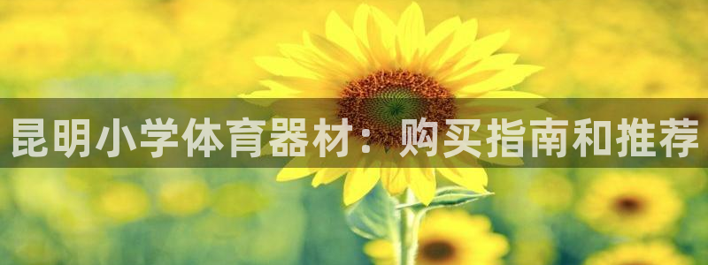 富联官方网站入口下载：昆明小学体育器材：购买指南和推荐