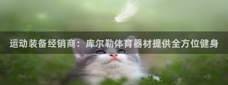 富联平台官网登录入口手机版：运动装备经销商：库尔勒体育器材提