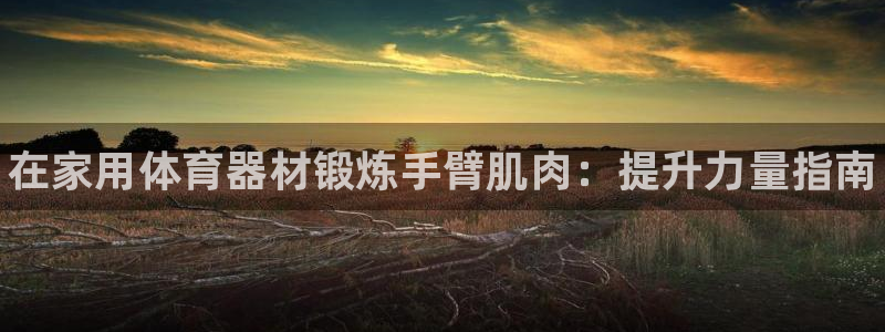 富联平台客 37oo735：在家用体育器材锻炼手臂肌肉：提升