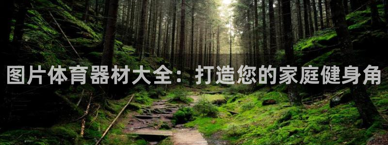 富联是什么：图片体育器材大全：打造您的家庭健身角