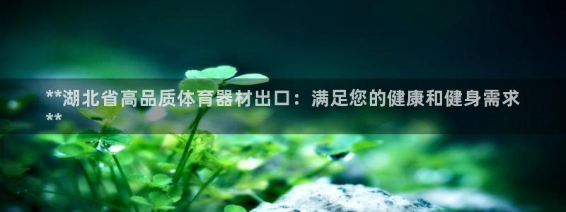 富联娱乐测速登录失败：**湖北省高品质体育器材出口：