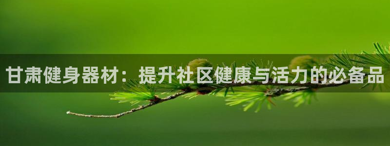 富联娱乐正规吗可靠吗：甘肃健身器材：提升社区健康与活