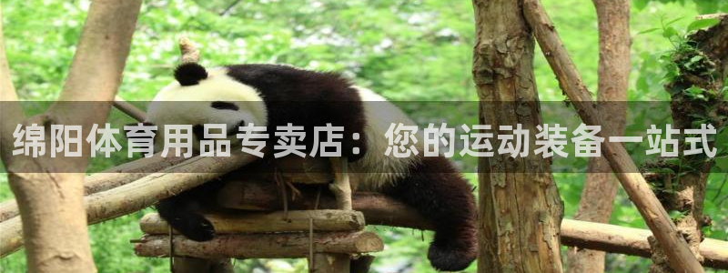 富联娱乐股东结构：绵阳体育用品专卖店：您的运动装备一