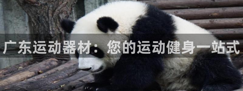 富联平台网站登录入口：广东运动器材：您的运动健身一站