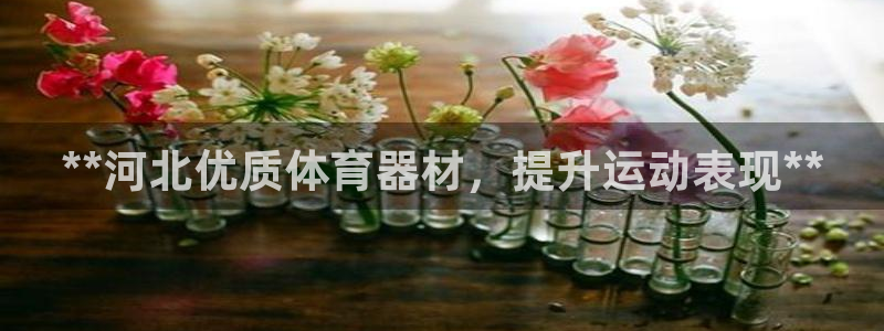 富联智能工坊：**河北优质体育器材，提升运动表现**