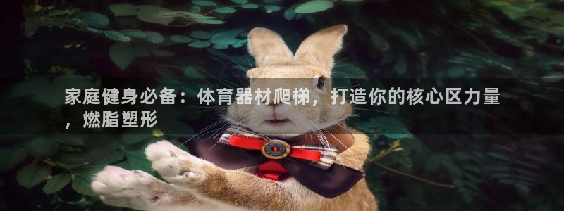 富联平台事 411O31 富联：家庭健身必备：体育器