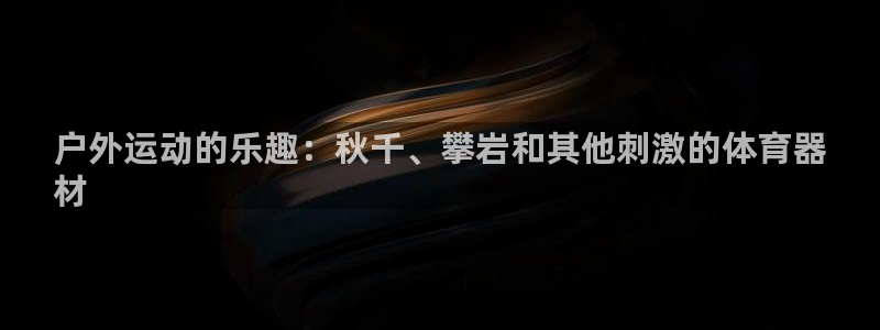 富联平台系 5O6917 富联：户外运动的乐趣：秋千