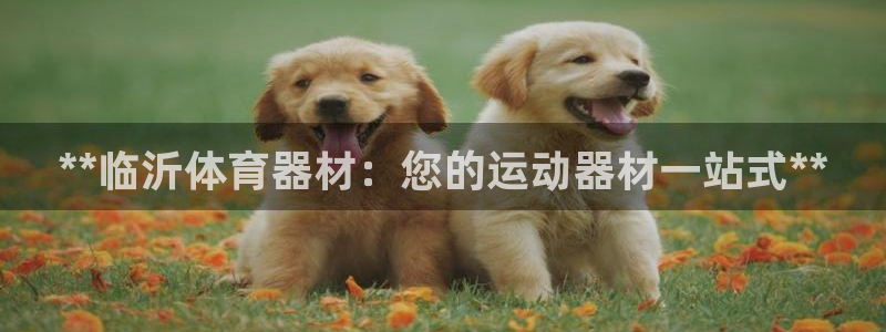 富联娱乐爱7O777：**临沂体育器材：您的运动器材