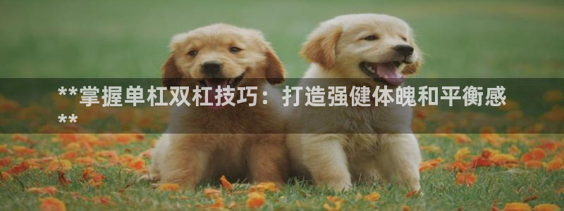 富联申购何时上市：**掌握单杠双杠技巧：打造强健体魄