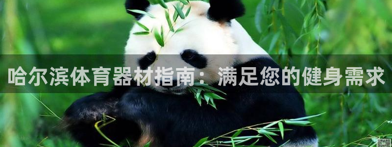 富联娱乐平台开户流程图：哈尔滨体育器材指南：满足您的