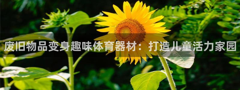 富联娱乐服务站：废旧物品变身趣味体育器材：打造儿童活