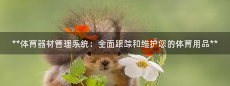 富联是什么板块：**体育器材管理系统：全面跟踪和维护