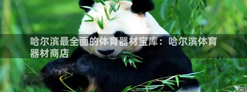 富联股份股票怎么样：哈尔滨最全面的体育器材宝库：哈尔