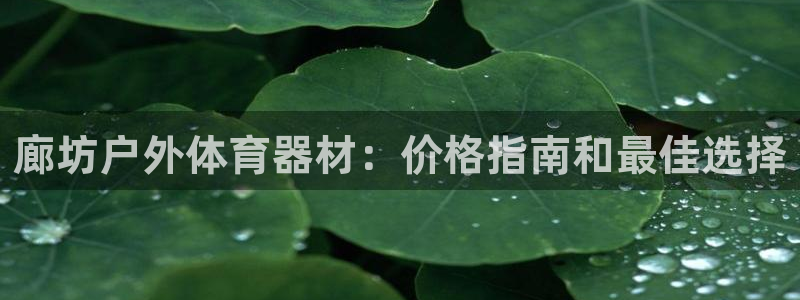 富联娱乐股东：廊坊户外体育器材：价格指南和最佳选择