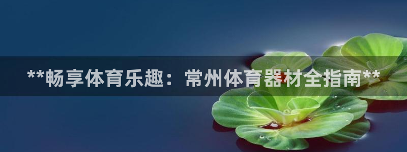 富联官网授权店铺查询：**畅享体育乐趣：常州体育器材