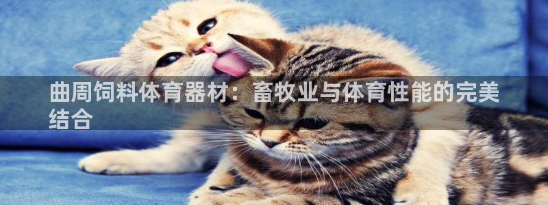 富联娱乐凡六七五一38：曲周饲料体育器材：畜牧业与体