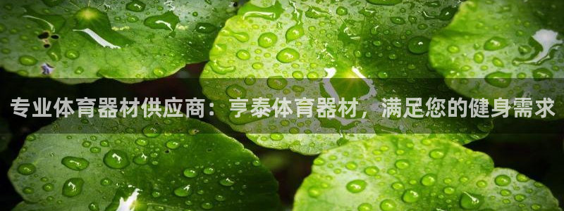 富联平台登录入口官网：专业体育器材供应商：亨泰体育器