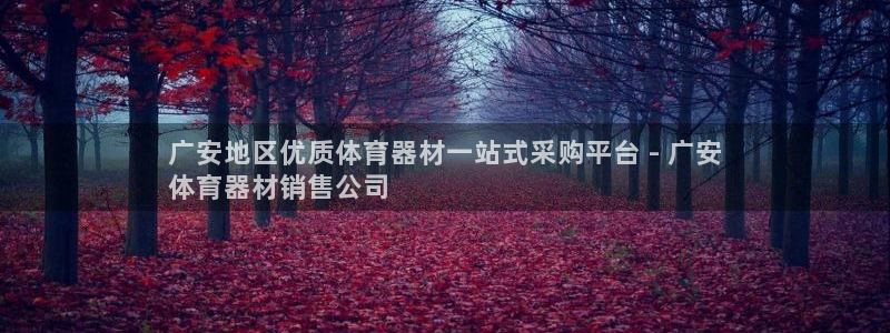 富联娱乐总代理：广安地区优质体育器材一站式采购平台 