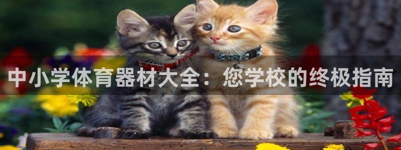 富联官方网站入口查询电话：中小学体育器材大全：您学校