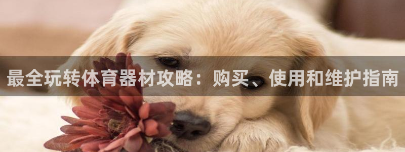 富联平台赢钱不给退怎么办：最全玩转体育器材攻略：购买