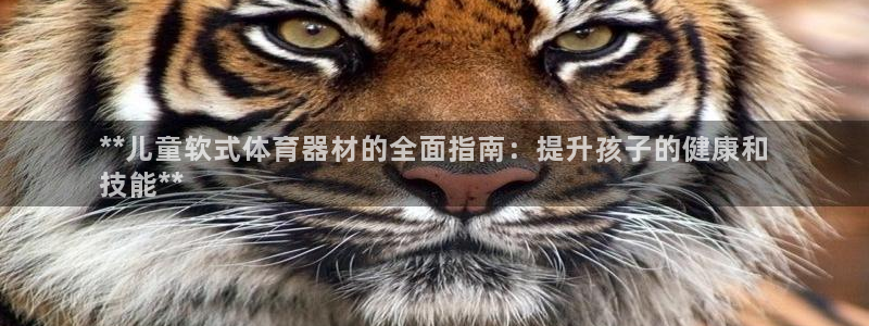 富联平台线路检测中心怎么样：**儿童软式体育器材的全