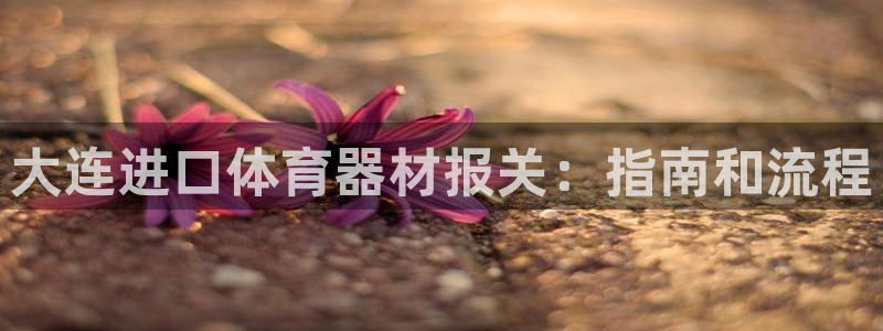 富联平台李 411O31 富联：大连进口体育器材报关