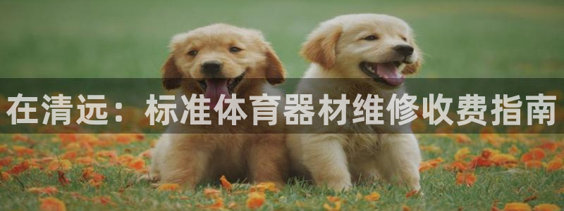 富联平台巴7O777：在清远：标准体育器材维修收费指