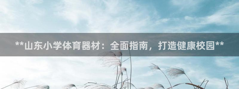 富联地产怎么样知乎：**山东小学体育器材：全面指南，
