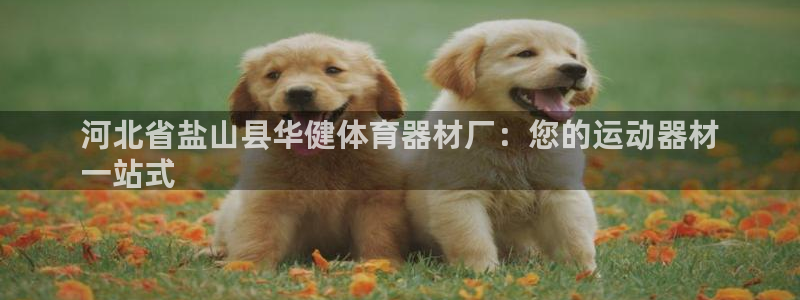 富联娱乐平台开户条件有哪些：河北省盐山县华健体育器材