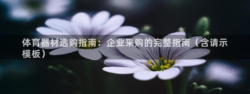 富联丰地产交易平台：体育器材选购指南：企业采购的完整