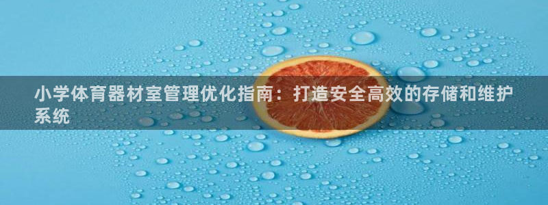 富联是什么股票板块：小学体育器材室管理优化指南：打造