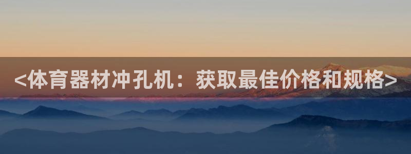 富联官方网站首页入口：<体育器材冲孔机：获取最佳价格