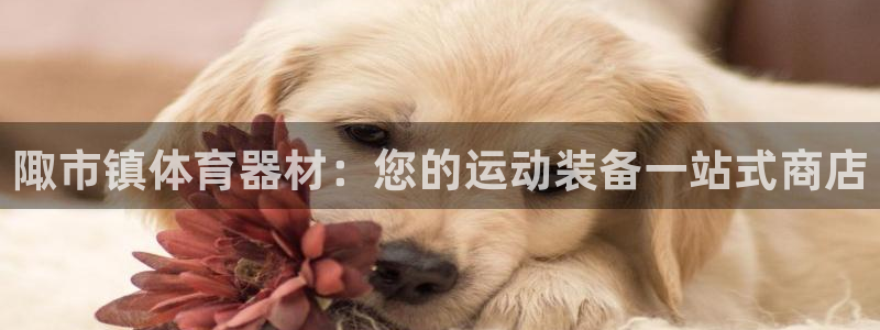 富联申购可以赚多少钱：陬市镇体育器材：您的运动装备一