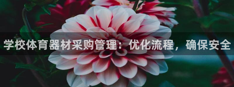 富联平台认可 585.34I 富联：学校体育器材采购