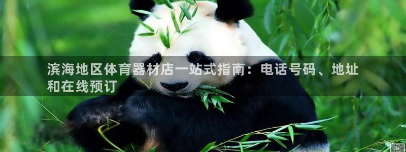 富联平台荐 585341：滨海地区体育器材店一站式指