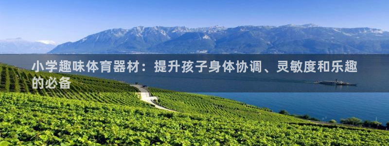 富联平台官网登录入口网址：小学趣味体育器材：提升孩子