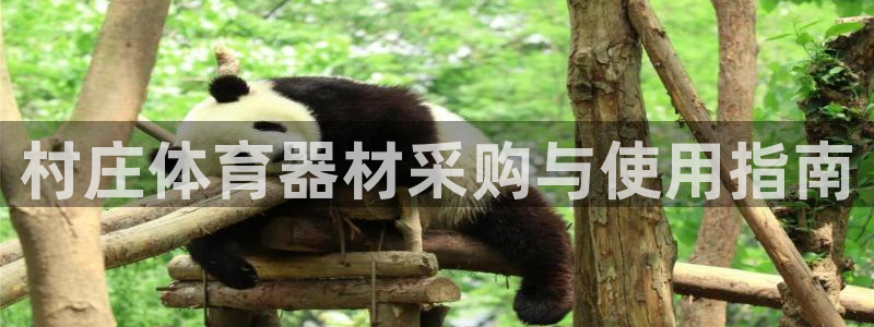 富联平台事 411O31 富联：村庄体育器材采购与使