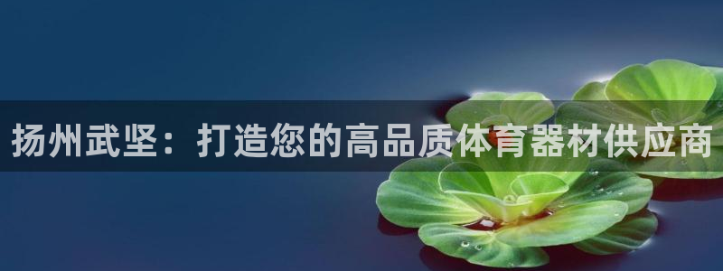 富联平台挂机怎么操作：扬州武坚：打造您的高品质体育器