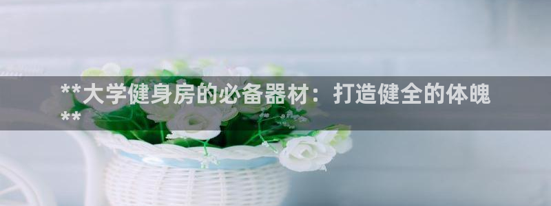 富联娱乐会员有什么用：**大学健身房的必备器材：打造