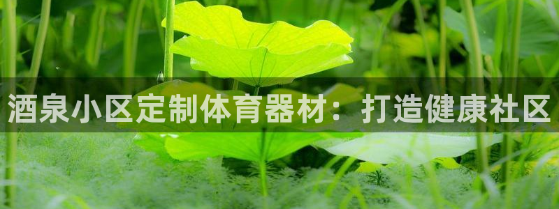 富联平台登录：酒泉小区定制体育器材：打造健康社区