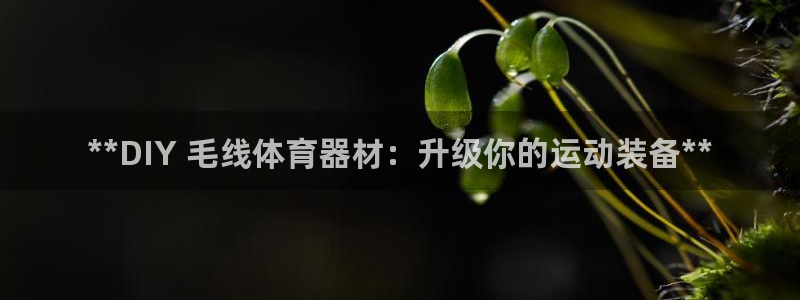 富联地产怎么样知乎：**DIY 毛线体育器材：升级你